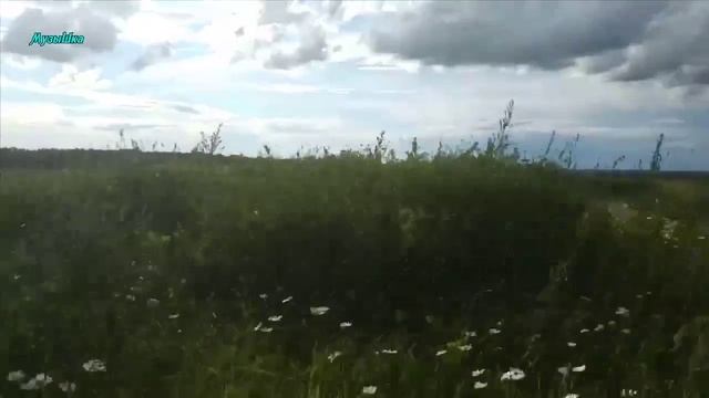 ♫ НЕСКУшНАЯ ДОРОГА ДОМОЙ !!! ЗАБАВНЫЙ ПОПУТЧИК !!!.mp4 смотреть онлайн