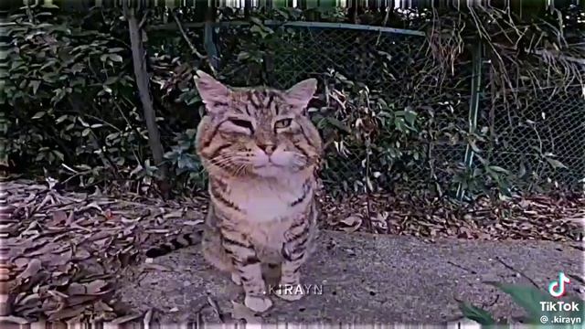 носок смотреть онлайн