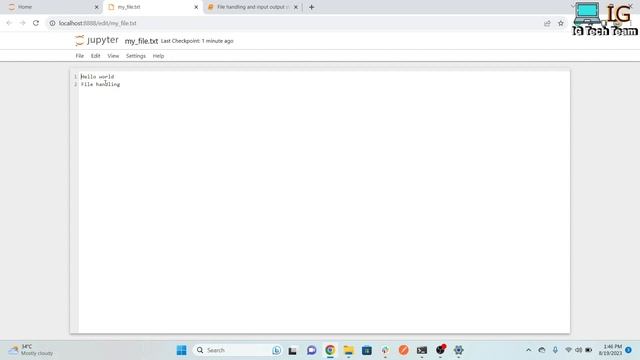 File Handling and Input/Output Streams | Python course смотреть онлайн