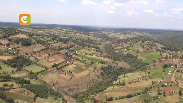 Nyayo Tea Zones kicked out of Mau смотреть онлайн