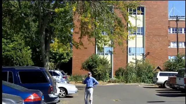 Thornless Honeylocust (Gleditsia Triacanthos Var. Inermis) - Plant Identification