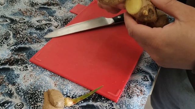 How To Grow Ginger UK - Multiple Ginger Plants From One Root