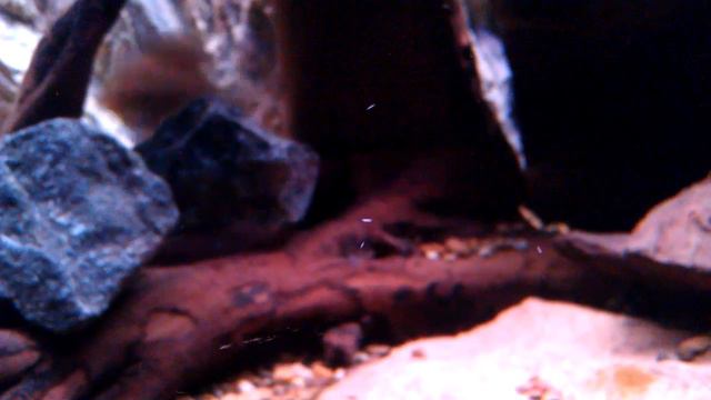 VIDEO0125 смотреть онлайн