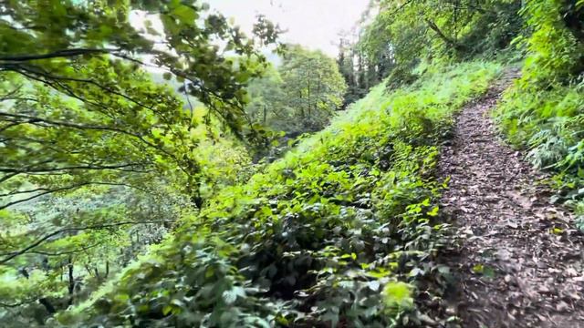 Национальный парк Мтирала 6 video Gruzia смотреть онлайн