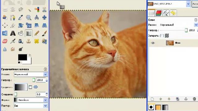 3.7.3. Редактирование фотографий и изображений смотреть онлайн