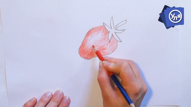 Рисунки фруктов --- Клубника --- Для начинающих Карандашом смотреть онлайн