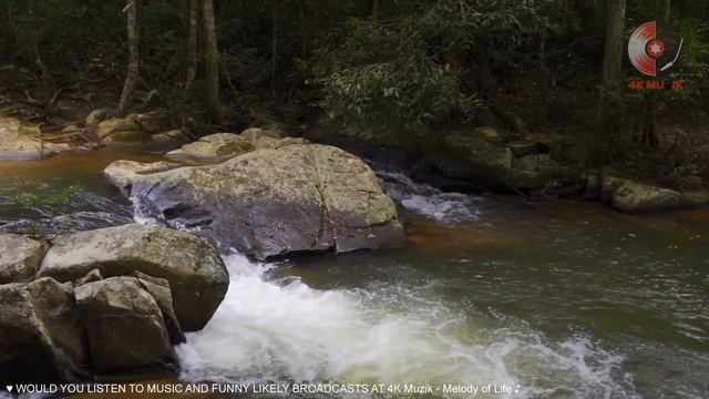 Relaxing Spanish Guitar | RUMBA - MAMBO - TANGO - SAMBA | Best Guitar Instrumental Music Hist смотреть онлайн