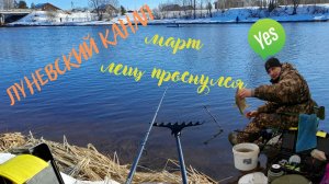 лещ в марте