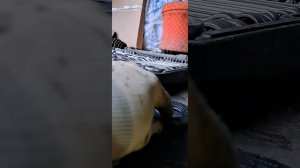 замена сальника каропки передач  на джели мк