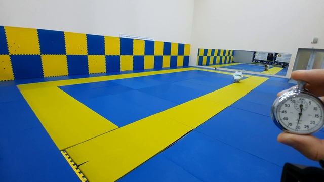 Наибольшее количество кувырков вперед за 1 минуту в России (мальчики, 11 лет) смотреть онлайн