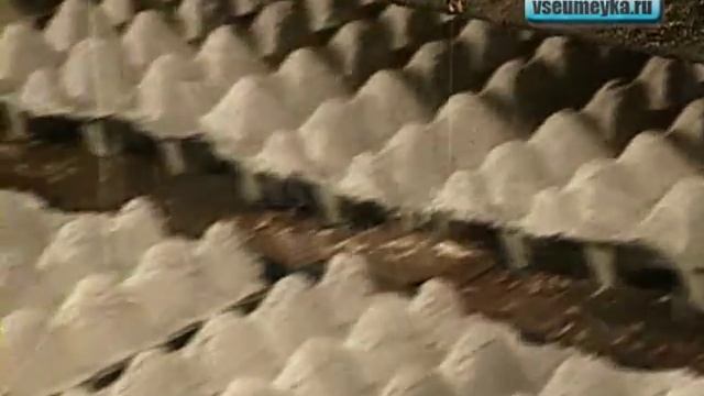 Как сделать картонные ячейки смотреть онлайн