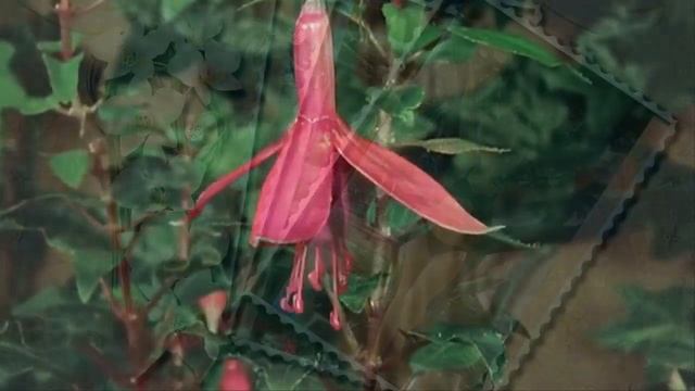 юбилей мамы  65 лет