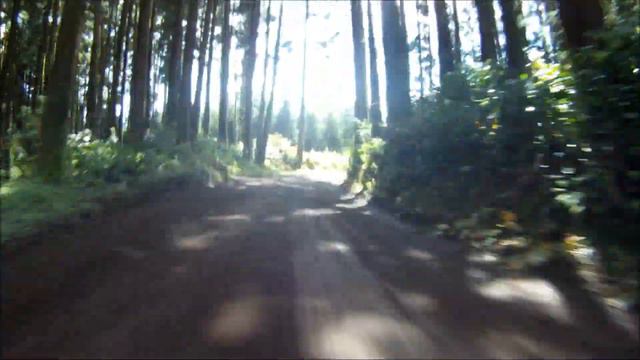 Patrik Sandell - Test Rally Azores. смотреть онлайн