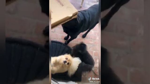 День матери в США смотреть онлайн