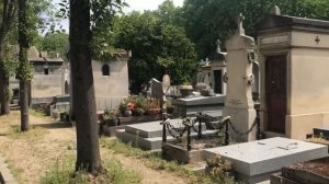 Мадам S некому подать стакан воды. Брачный контракт. Парижанка. Отношения с тётей. Дневник мадам С