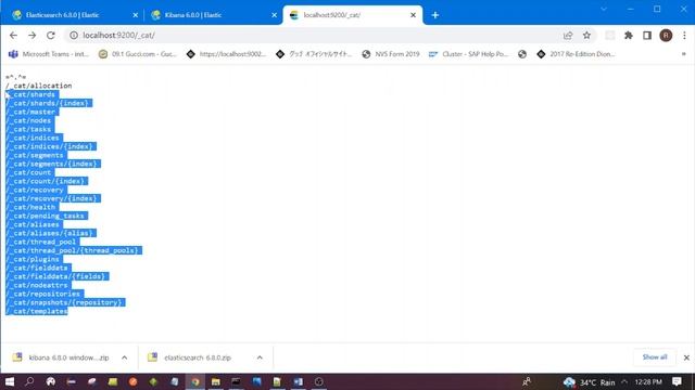 Demo - Installation of Elastic Search and Kibana | Elastic Search and Kibana overview смотреть онлайн