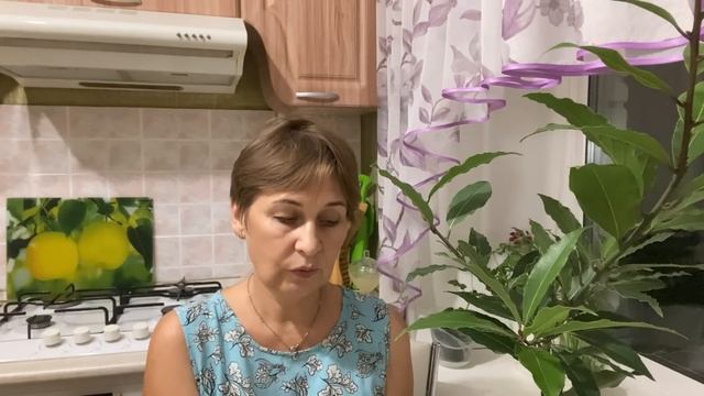 Нужен совет про лавровое деревце. смотреть онлайн