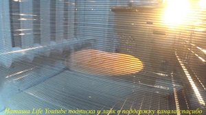 КАК ВЫПЕКАТЬ БИСКВИТ В ДУХОВКЕ Bosch HBG43S320Q