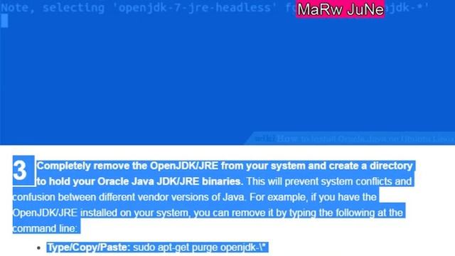 Install Oracle Java смотреть онлайн