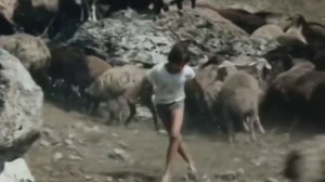 Петров и Васечкин - Васечкин и волк [1080p]