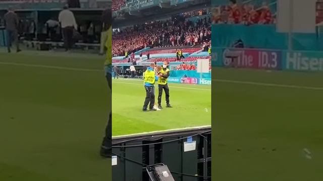 Болельщик выбежал на поле после матча сборной России смотреть онлайн