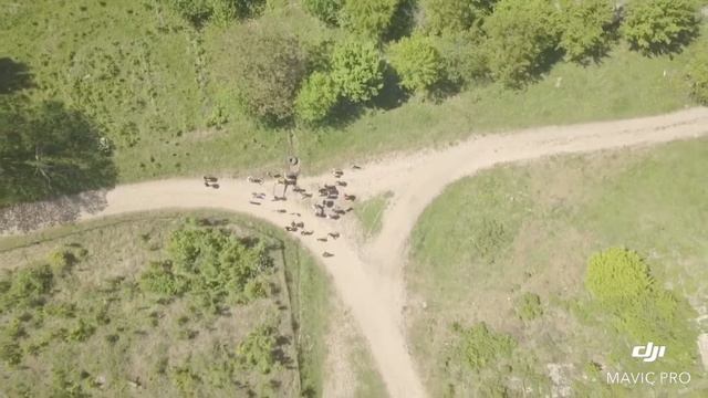 Новосадовый. 1 мая у Данилевича смотреть онлайн