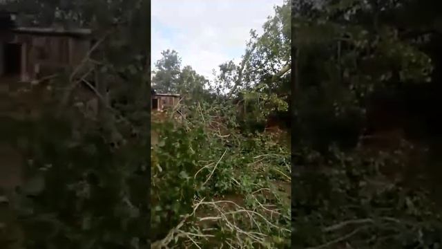 Бурятия. п Итанца, после урагана. смотреть онлайн
