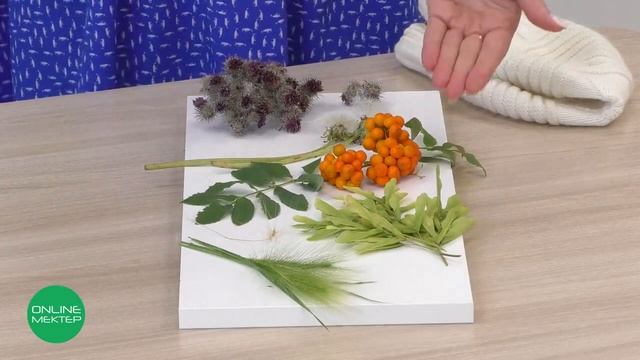 4 класс. Естествознание. 7 урок. Как распространяются семена растений? смотреть онлайн