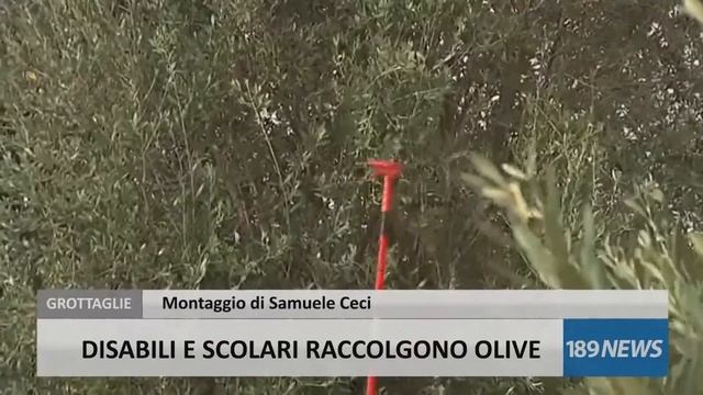 TG189 NEWS 11 11 16 смотреть онлайн