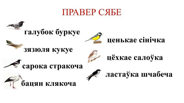 Тема 12. «Слухай родную прыроду — ты пачуеш галасы таямнічае красы». (В. Жуковіч). В. Жуковіч. смотреть онлайн