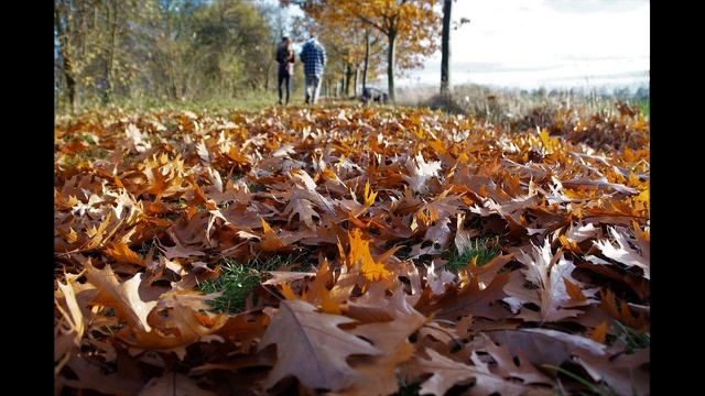 Стихи о любви - Наверное ты натешишься... смотреть онлайн
