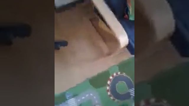 Что делать, если кот линяет. смотреть онлайн