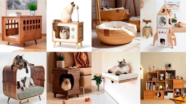 Cat furniture ideas custom design furniture f
