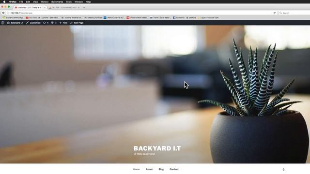Backyard I.T Live Stream смотреть онлайн