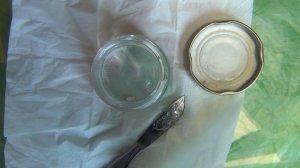 Учебное видео: получение гипофиза карпа. 3.Извлечение и фиксация гипофиза.