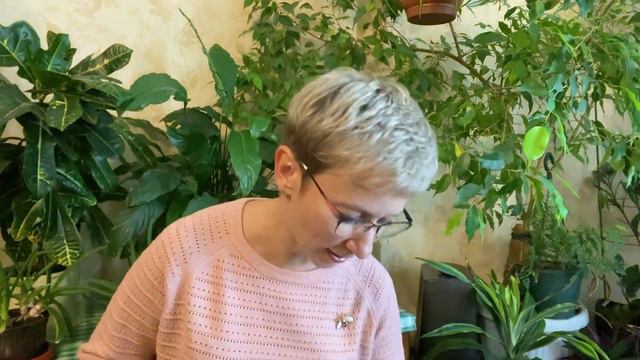 ЭХ,одни воспоминания... МЫ ДОМА смотреть онлайн
