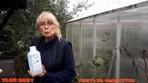 12.09.2021 Чистка дезинфекция колодца Дно колодца Корни Фильтры Залили перекись Откуда это? А дальш