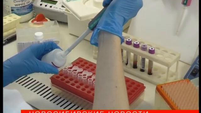 Новосибирские учёные нашли более десяти ДНК-маркёров патологий сердца смотреть онлайн