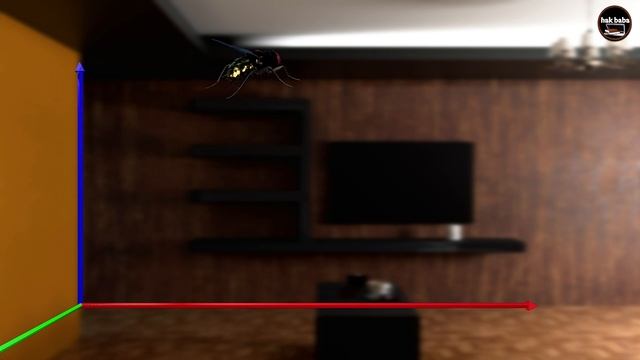 1D, 2D & 3D Motion смотреть онлайн