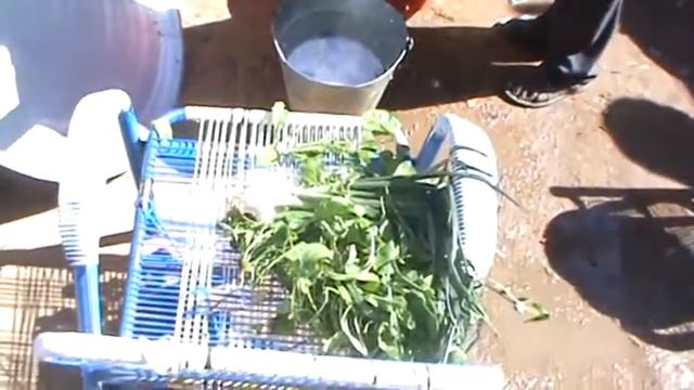VLOG. My first Christmas in Darfur, Nyala, Sudan with colleagues. 5 смотреть онлайн