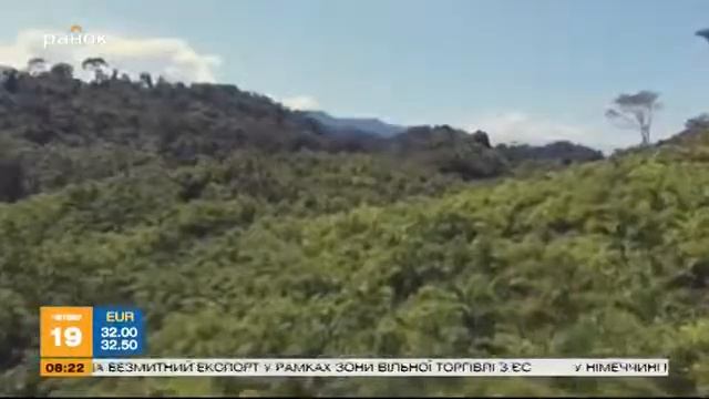 Магическая специя кардамон смотреть онлайн