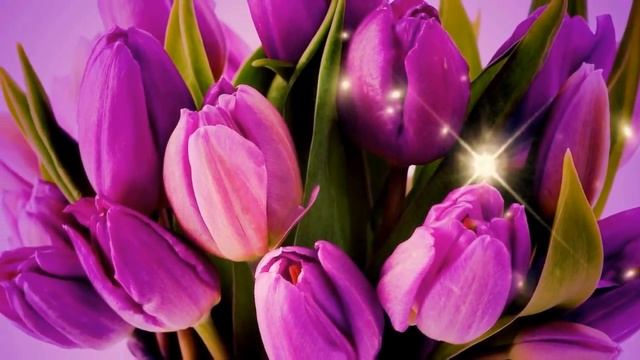 Tulips. Тюльпаны. Дарите женщинам цветы. смотреть онлайн