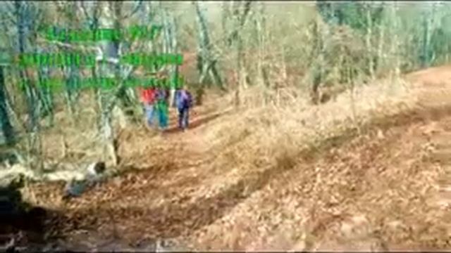 Игра ДжуМАНджи смотреть онлайн