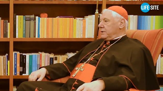 Cardinal Müller's remarks on the absurd laicization Pro-Life Leader Frank Pavone смотреть онлайн