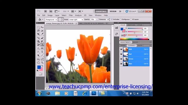Photoshop CS6 Tutorial Using the Paint Bucket Tool Adobe Training смотреть онлайн