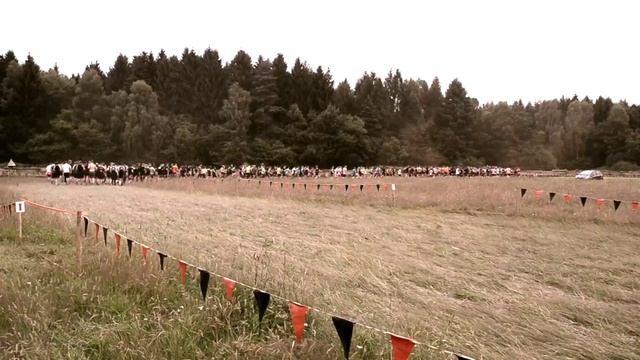 Грязный забег. США.mp4 смотреть онлайн