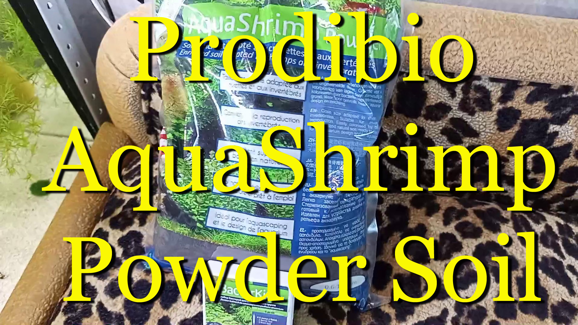 #Prodibio AquaShrimp Powder Soil - запуск аквариума/креветочника с помощью бактерий BacterKit Soil смотреть онлайн