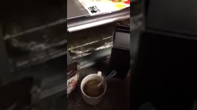 Healthy coffee/ organic reishi, ganoderma, lucidum смотреть онлайн