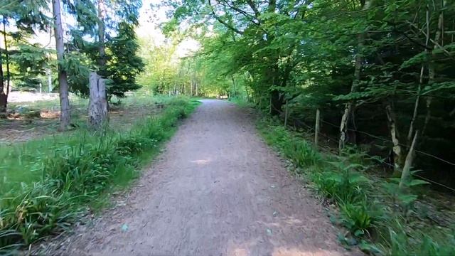 VIRTUAL RUNNING Videos For Treadmill With Music