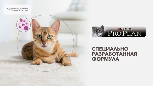 PRO PLAN ® DELICATE смотреть онлайн